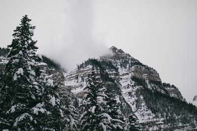 山景